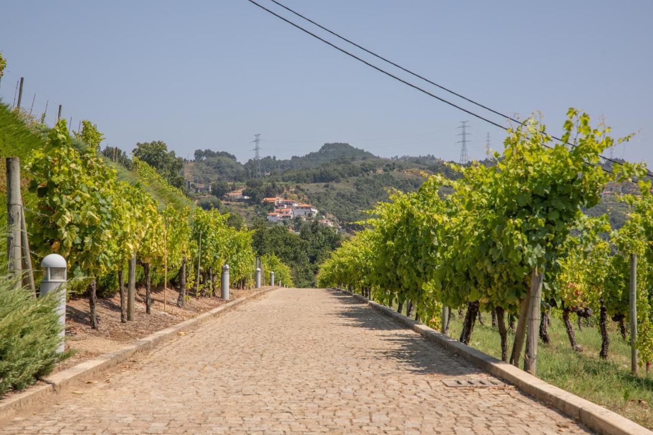 Quinta Da Granja Apartment Baião Exterior foto